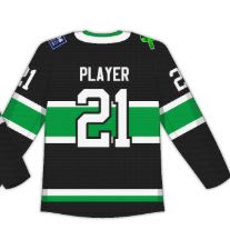 Hockey Sweater Option #2 item