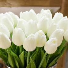 Tulips  - White 4.5in Pot item