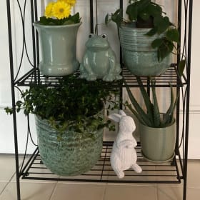 Plant Stand item