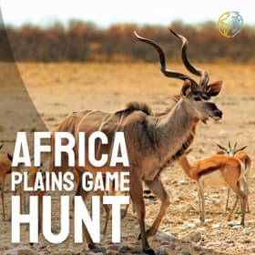 African Plains Hunt for 4 item
