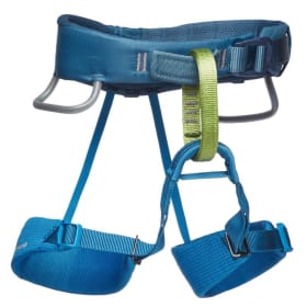 Kids Momentum Harness (Kingfisher) item
