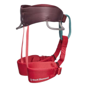 Kids Momentum Harness (Wild Rose) item