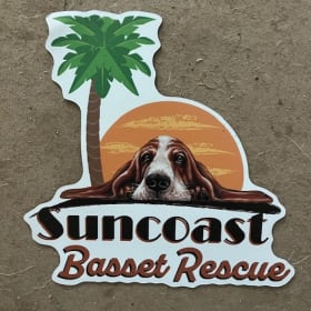Car Magnet item