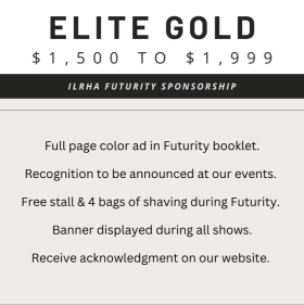Elite Gold $1,500 to $1,999 item