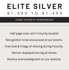 Elite Silver $1,000 to $1,499 item