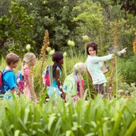 General admission item