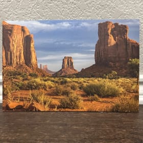 The Great Outdoors item