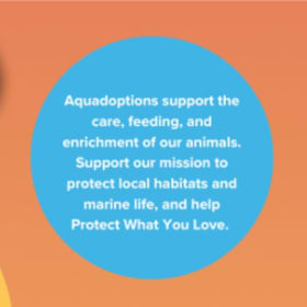 ENTERTAINMENT| Heal the Bay Aquadoption packet (Value: $100) item