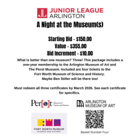 A Night at the Museum(s) item