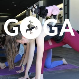 2 Gift Cards to GOGA Goat Yoga item
