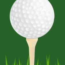 Par Sponsorship item