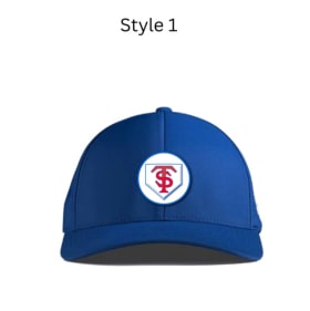 Royal Blue Circle Patch Logo item