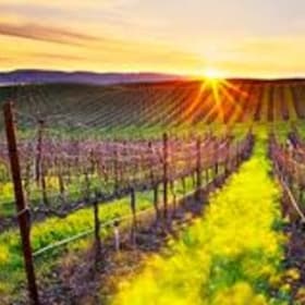 Napa Grandeur for 2 item