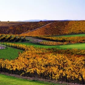 Napa Valley Stay and Play for 2 item