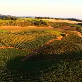 Napa Valley Stay and Play for 4 item