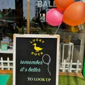 RETAIL|  Lucky Duck Party Supplies (Value: $80) item