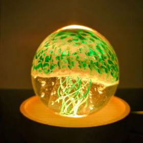 LE CUEILLEUR DE VERRE - Veilleuse en verre soufflé méduse item