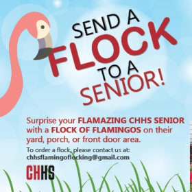 Send a Flock to a Senior item