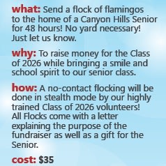 Send a Flock to a Senior item