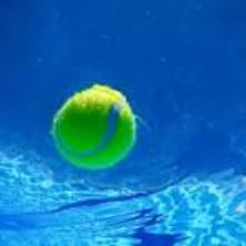 New Milford Tennis & Swim Club - One Week Membership item