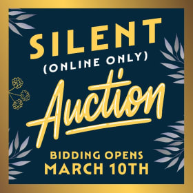 Silent Auction- COPY AND PASTE THE LINK item