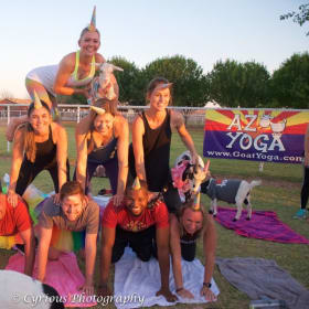 AZ Goat Yoga passes (6) item