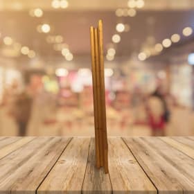 Vibrant Birds in Spring item