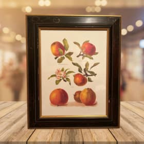 Chelsea House 5706A | Botanical Apples item