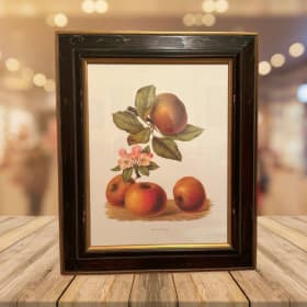 Chelsea House 5706C | Blenheim Oranges item