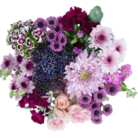 Majestic Purple item