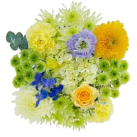 Majestic Yellow item