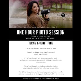 Family Photo Session item