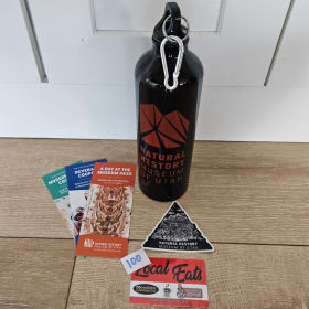 #100 Day At the Museum item