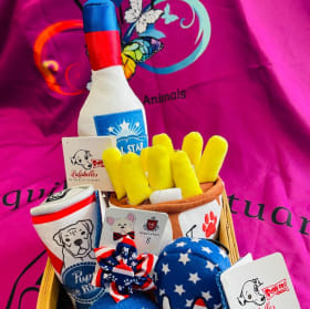 🐾 All-American Pup Play Pack! 🎇 item