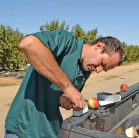 Tree Trimming Class item