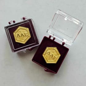 Replacement Lapel Pin item