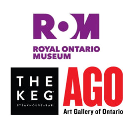 13. Tourist in Toronto package! item