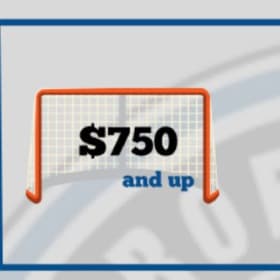 PLATINUM SPONSORSHIP item