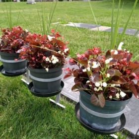 1 bouquet pour 1 an item