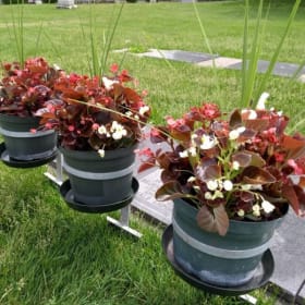 1 bouquet pour 3 ans ( été 2025 à été 2027) item