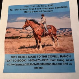 S14 Clydesdales item