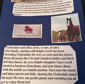 S14 Clydesdales item