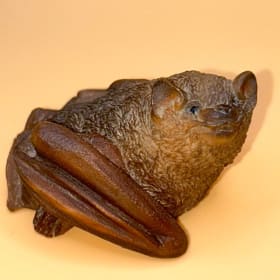 Stone Critters Baby Brown Bat item