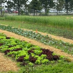 Agronomy Sponsor item