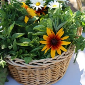 Greenhouse Sponsors item