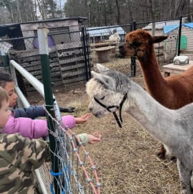 30 minutes in the Back Yard area of the Sanctuary item