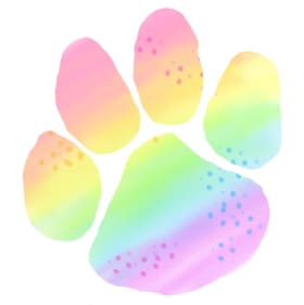 Rainbow Paw Vinyl Sticker 2.5” item