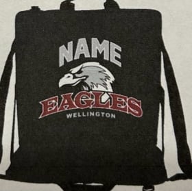 Eagles Stadium Seat item