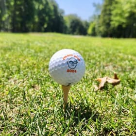 Individual Golfer item