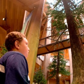 Discovery Museum, Pastini, & Tallulah's Daddy CD item